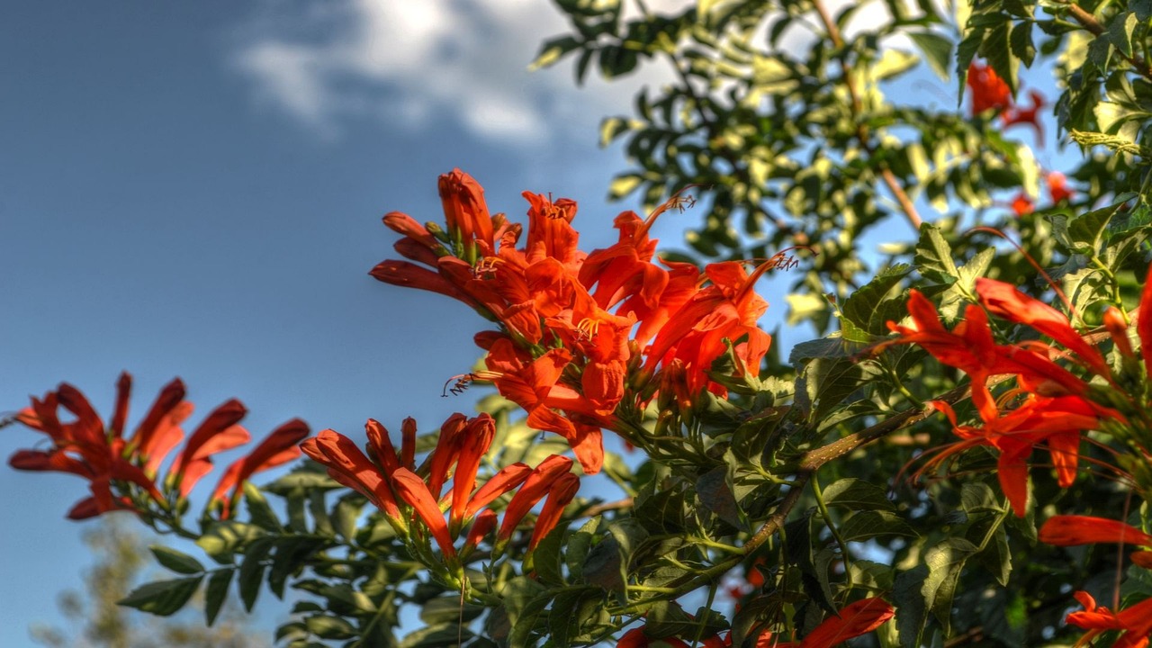 奔馳降價(jià)大潮引發(fā)市場(chǎng)變革，消費(fèi)者受益顯著